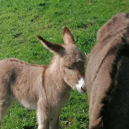 Au Calme Avec Equipements Pmr, Parking, Animal Accepte - Fr-1-582-59 Σπίτι διακοπών