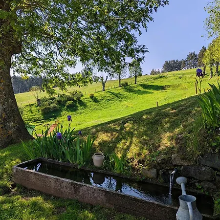 Au Calme Avec Equipements Pmr, Parking, Animal Accepte - Fr-1-582-59