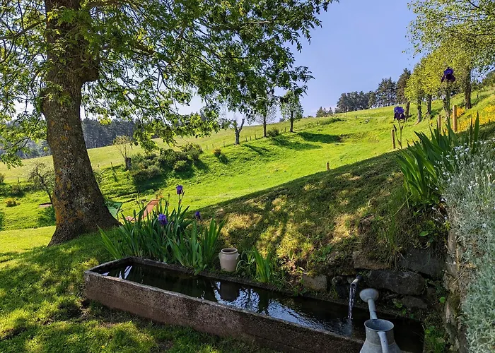 Saint-préjet-d'allier, 5 Pièces, 8 Personnes - Fr-1-582-59