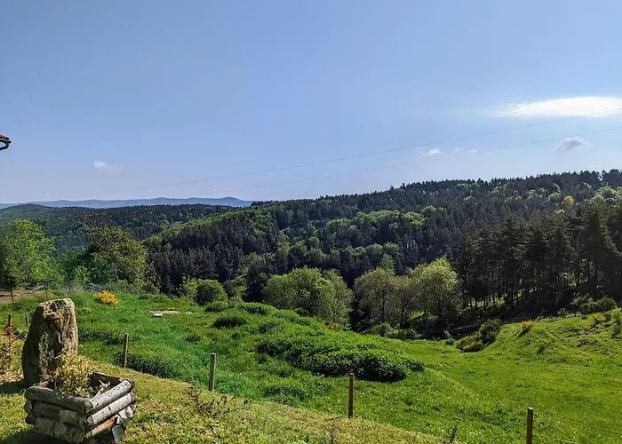 Holiday home Au Calme Avec Equipements Pmr, Parking, Animal Accepte - Fr-1-582-59 Saint-Prejet-d'Allier